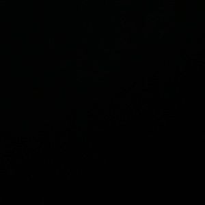 Meet your Posher, Adriana